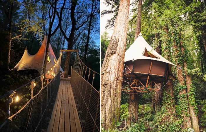 В Treewalker можно добраться разными способами.