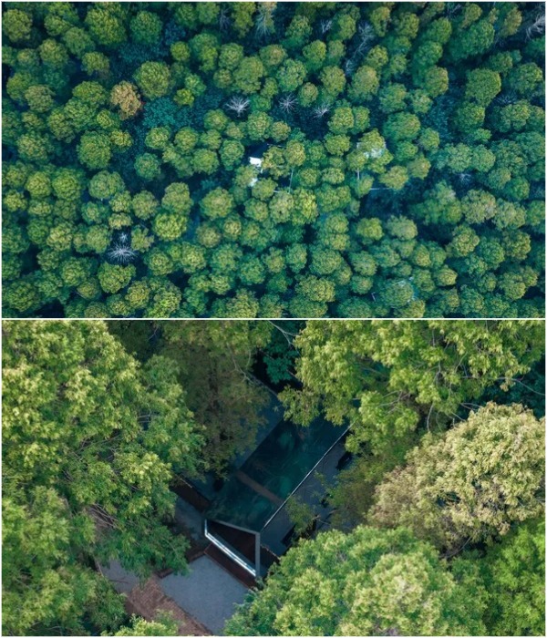 «Секретный» лагерь в лесах Уханя. «Секретный» лагерь в лесах Уханя.