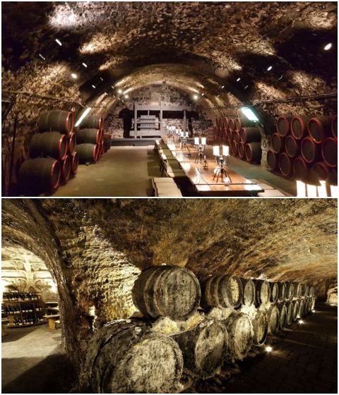 В одном из погребов Gombos Hill устроили дегустационный зал и винную лавку, где туристы смогут сполна насладиться токайским вином (Tokaj-Hegyalja, Венгрия).