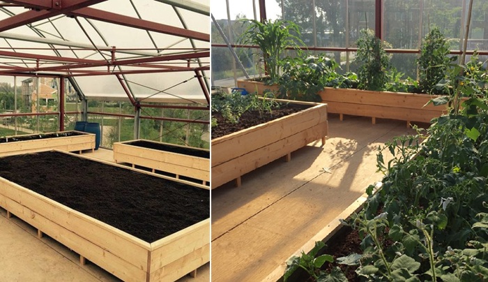 Выращивание зелени, овощей и ягод стало главным условиям проживания в доме-теплице CHIBB.