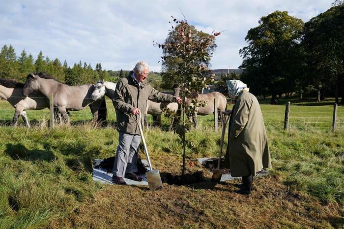 Елизавета II и будущий король Великобритании сажают дерево на территории замка (2021 год). | Фото: independent.co.uk.