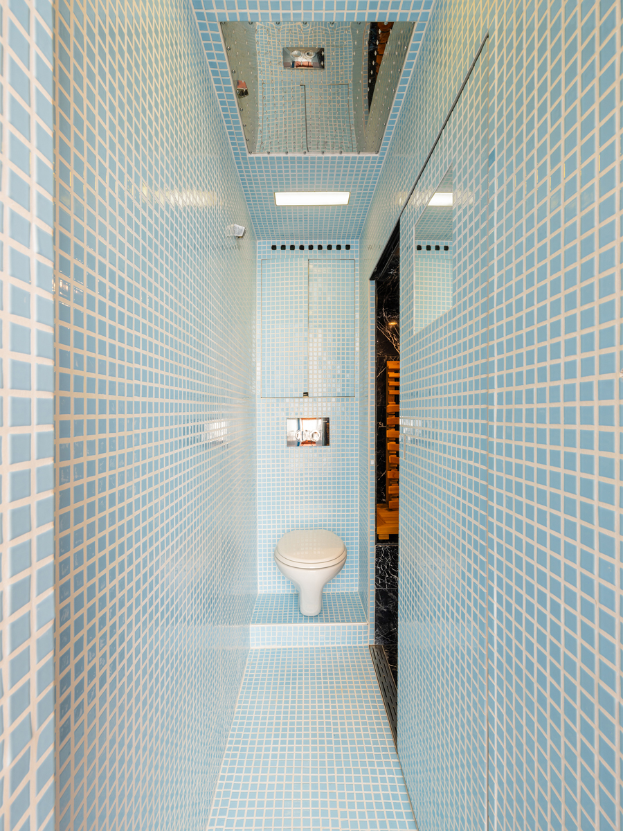 Дизайн душевой, объединенной с туалетом (This Cabanon). Дизайн душевой, объединенной с туалетом (This Cabanon).