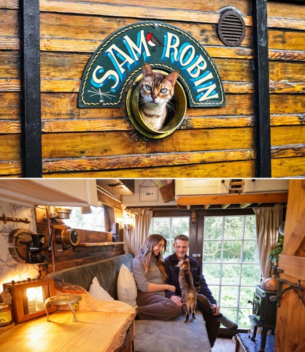 Теперь и у кошек райская жизнь.