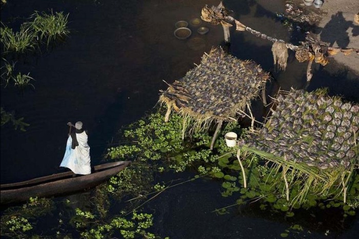 У рыбаков всегда превосходный улов, но следует остерегаться крокодилов (болото Судд, Южный Судан). | Фото: bigpicture.ru. 