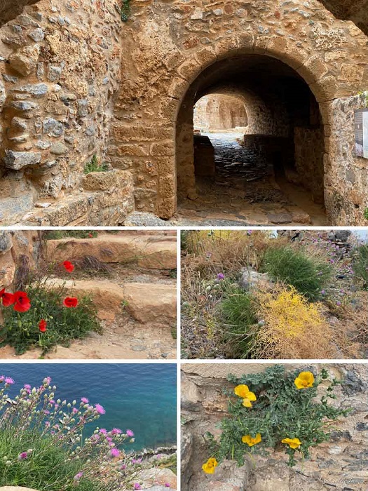 Поднимаясь по крутым тропинкам в Акрополь, путешествующие могут сполна насладиться археологическими памятниками, природой и захватывающими видами (Monemvasia, Греция).
