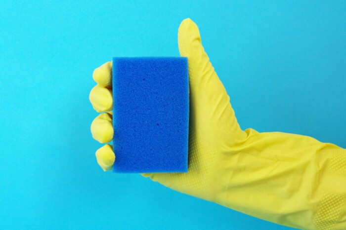Губка. / Фото: domingo.su