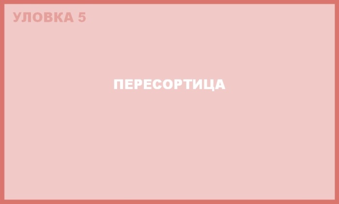 Будьте бдительны при распродажах фруктов и овощей.