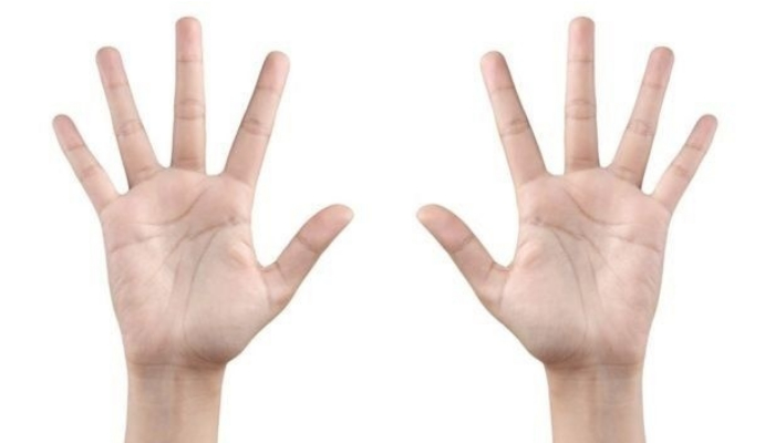 Длина пальцев решает многое. / Фото: ichef.bbci.co.uk