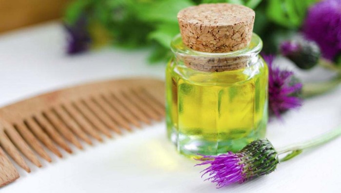 Добавьте в шампунь оливковое масло и не будет нужен бальзам для волос! / Фото: 24veg.ru