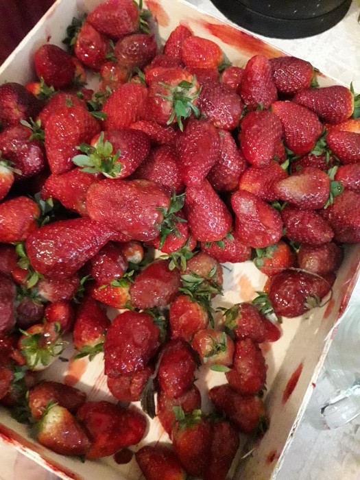 Такие ягоды опасны для здоровья. / Фото: kp.ru
