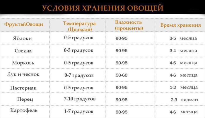 Таблица температурного режима хранения овощей. / Фото: zen.yandex.ru