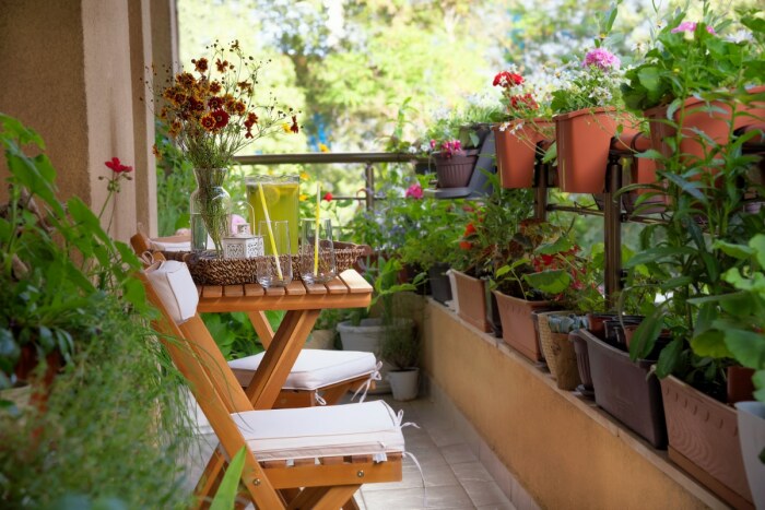 Красота растений на очень маленьком балконе. / Фото: treehouse.co