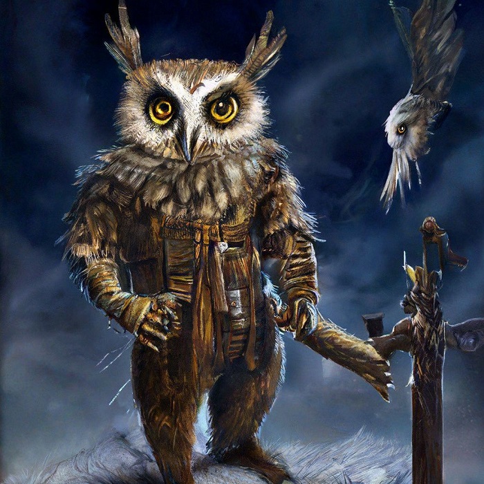 Совы не то, чем кажутся. (с) Девид Линч