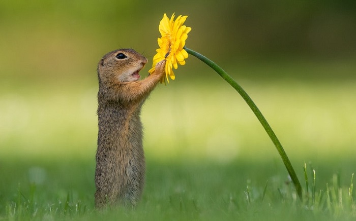 Будьте осознанны.