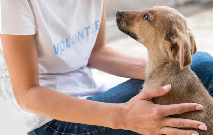 Когда вы помогаете другим, ваше внимание переключается с собственного Я на окружающих.