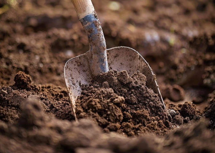 Рыхлим почву для картофеля. / Фото: Midjourney
