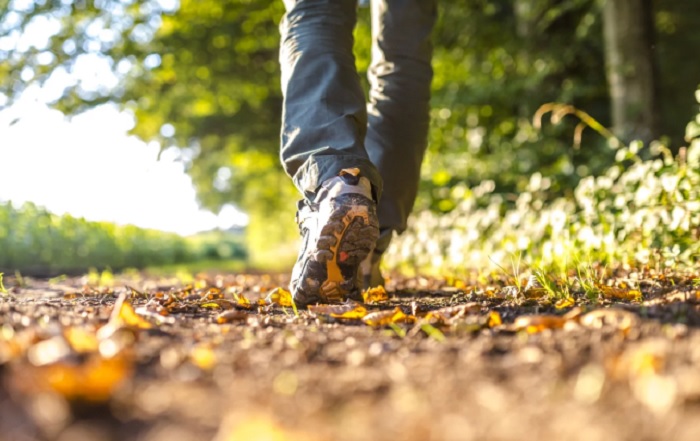 Прогулка поможет. Прогулка поможет.
