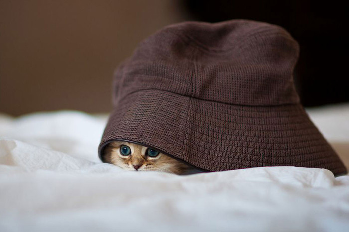 Чтобы побороть любой страх, нужно действовать.