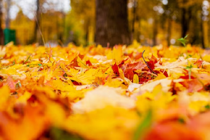 Теория октября. Теория октября.