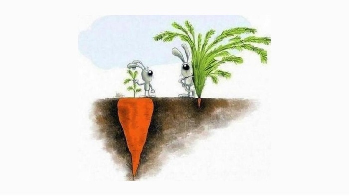 У дурачка слева морковь не растёт вообще! / Фото: doc.by