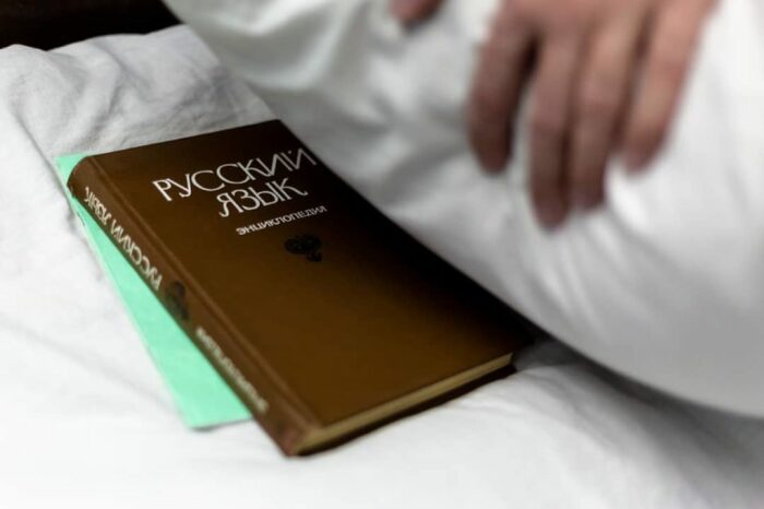 Класть книгу под подушку - не забобон. Это проверенный веками метод сов. / Фото: letsgophotos.ru
