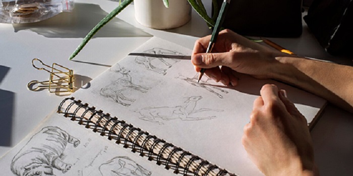 Скетчинг. Скетчинг.