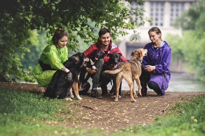 Волонтёрство. Волонтёрство.