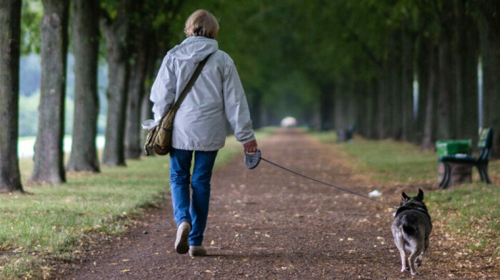 Многие пенсионеры признаются, что завели собаку, чтобы больше двигаться и дольше жить.