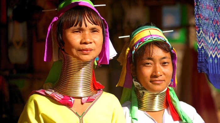 Один из ярких примеров трансформации тела ради красоты. /Фото: neptune-edu.com Один из ярких примеров трансформации тела ради красоты. /Фото: neptune-edu.com