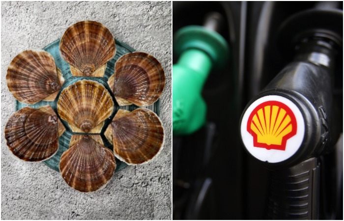 Не просто так на логотипе бренд ракушка изображена - с них всё начиналось. Не просто так на логотипе бренд ракушка изображена - с них всё начиналось.