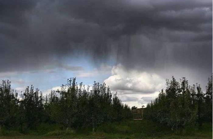 Вирга - дождь, который не может намочить землю. /Фото: wtaj.com Вирга - дождь, который не может намочить землю. /Фото: wtaj.com