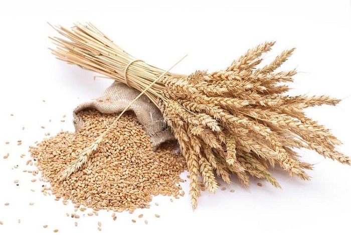 Та же пшеница довольно полезна, хоть и с глютеном. /Фото: face-kontrol.ru