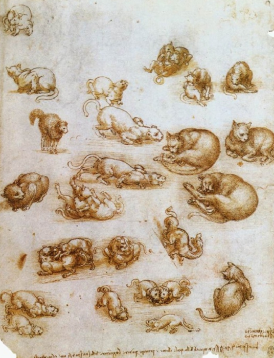 Изображение котов и мышей авторства Леонардо да Винчи. /Фото: pikabu.ru