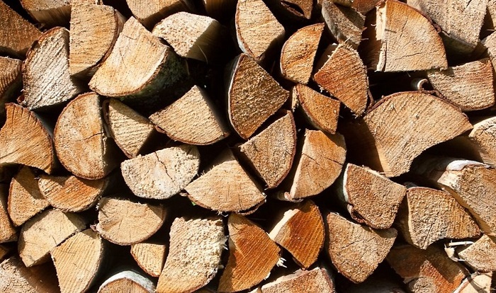 Учёные заставили сухую древесины зажечь светодиоид. /Фото: delfi.ee