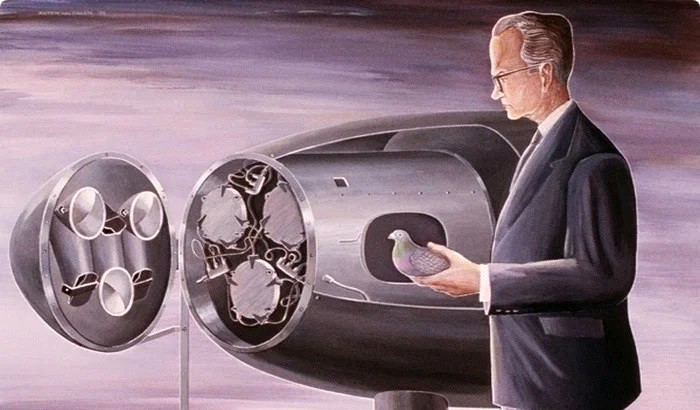 Успешная, но не введённая на службу попытка сделать из птиц систему наведения ракет.