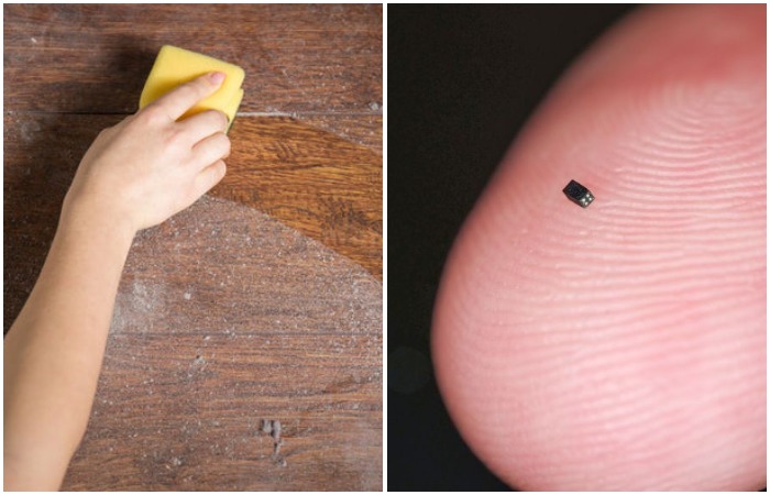 Не всякая пыль вредная - технологическая умеет помогать фермерам и промышленникам.