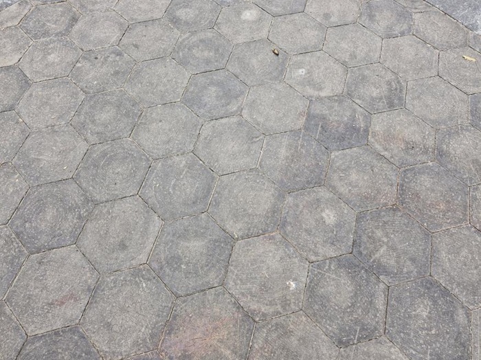 Сохранившаяся часть деревянной дороги в Санкт-Петербурге, современный вид.