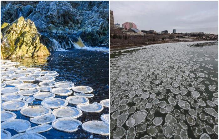 Природа тоже умеет делать блинчики, только изо льда. /Фото: thetimes.com, reddit.com
