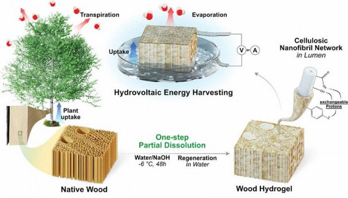 Схема добычи энергии из древесины. /Фото: overclockers.ru