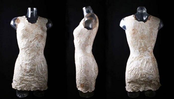 Современная одежда из грибов - возвращение древней технологии. /Фото: mastergrad.com