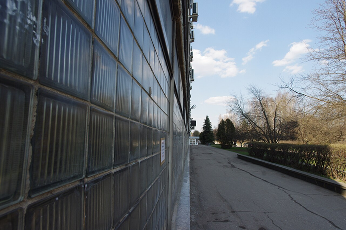 Крепкие и пропускающие больше естественного света - главные преимущества стеклоблоков.