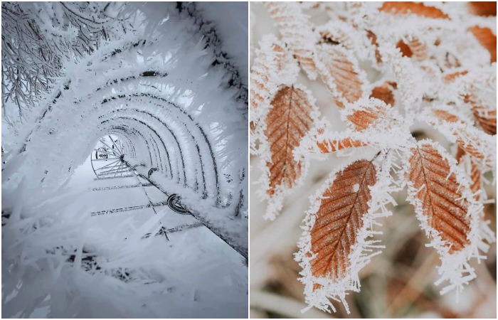 Иней - привычный, но не менее живописный. /Фото: kxnet.com, assets.wordgenius.com