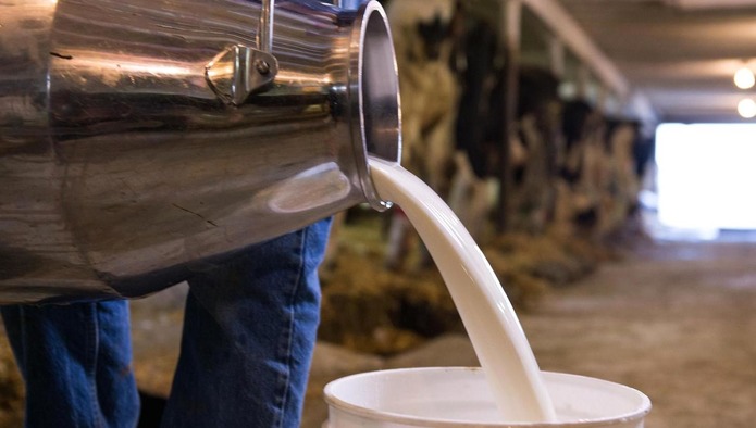 Жирное молочко пить надо тоже в меру. /Фото: milknews.ru