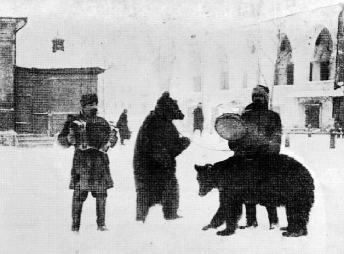 Медведи неожиданно оказались отличным рычагом психологической атаки на французскую армию. /Фото: i.pinimg.com