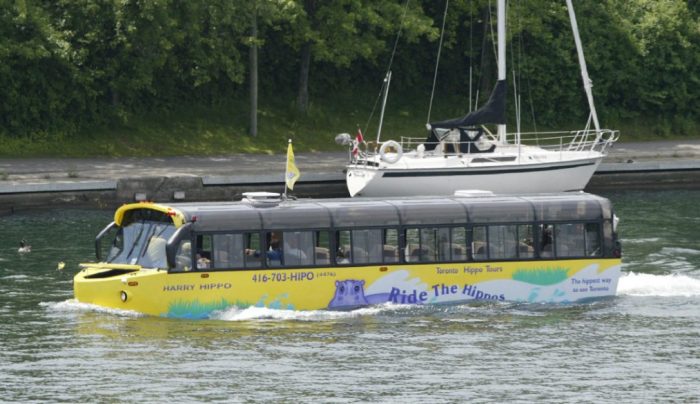 Автобус, который и по дороге проедет, и в озеро занырнёт. /Фото: auto.rambler.ru