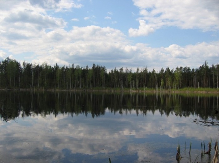 Озеро, где мрёт рыба и травятся рыбаки. /Фото: kakprosto.ru
