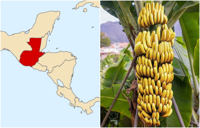 Гватемала - одна из самых известных банановых республик. /Фото: wikipedia.org, mapme.club