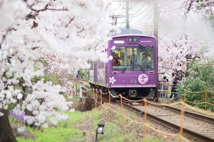 Японская железная дорога, оказывается, полна сюрпризов. /Фото: nihon-go.ru