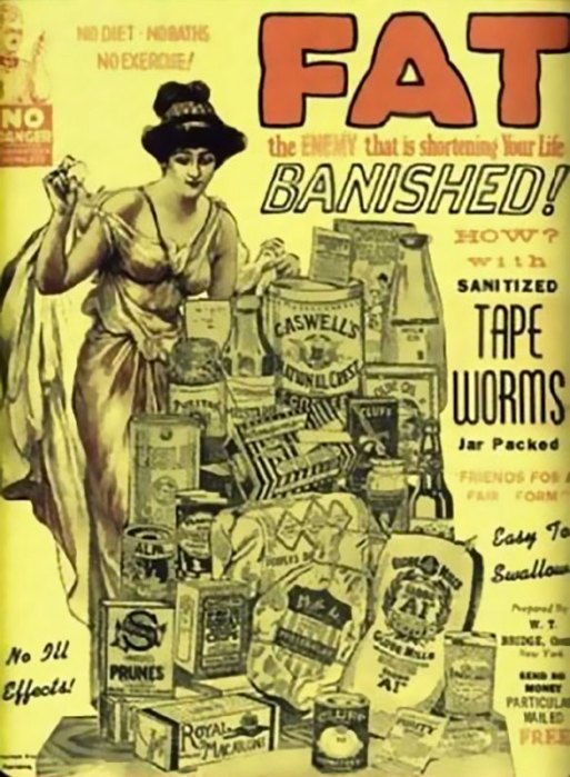 Опасный способ похудеть, но 120 лет назад он был весьма популярен. /Фото: terraoko.com