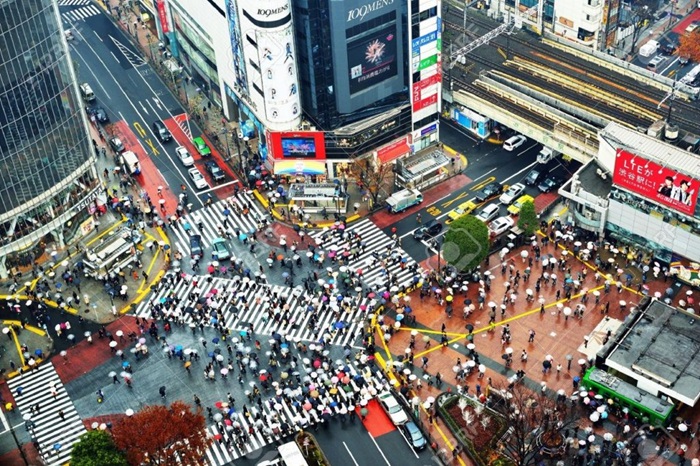 Высокие темпы урбанизации в Японии не оставляют заброшкам в провинциях ни единого шанса, кроме акия. /Фото: nihon-go.ru